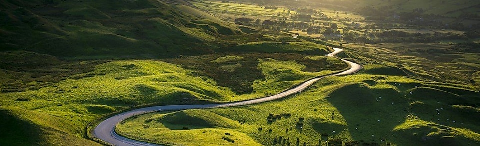 a road passing between green fields