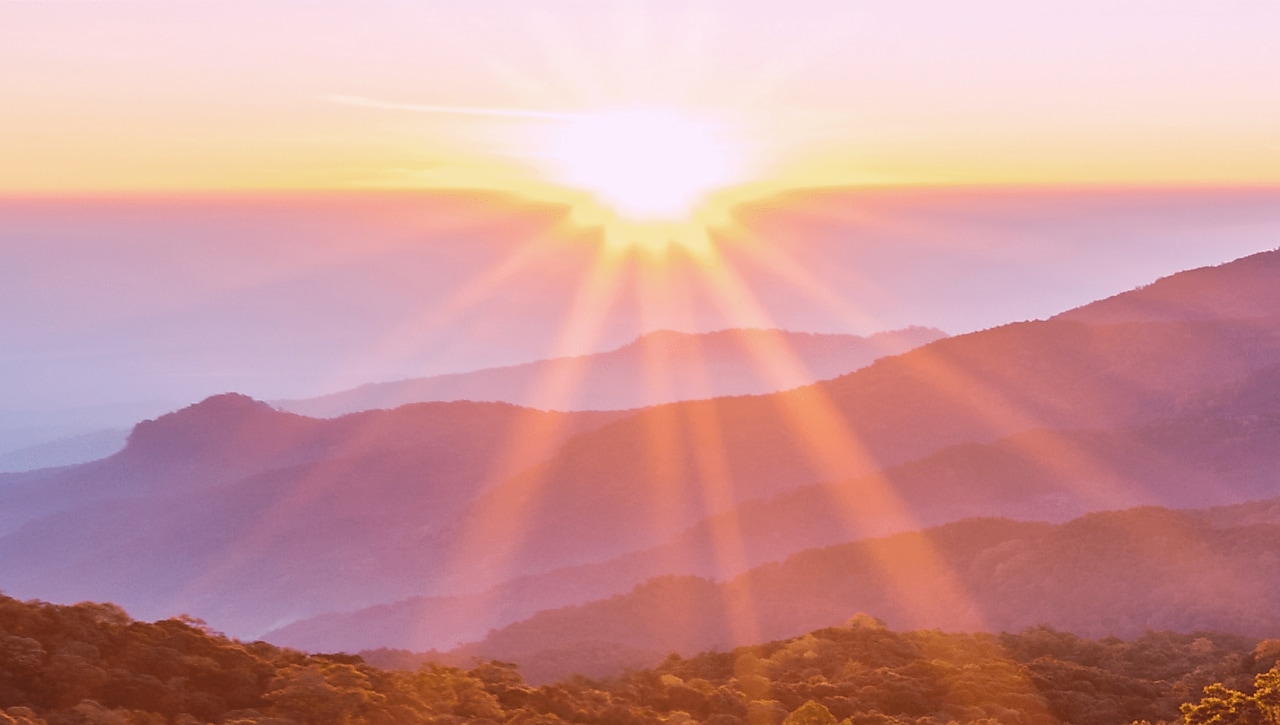 New Shell Fuelsave Unleaded with DYNAFLEX Technology